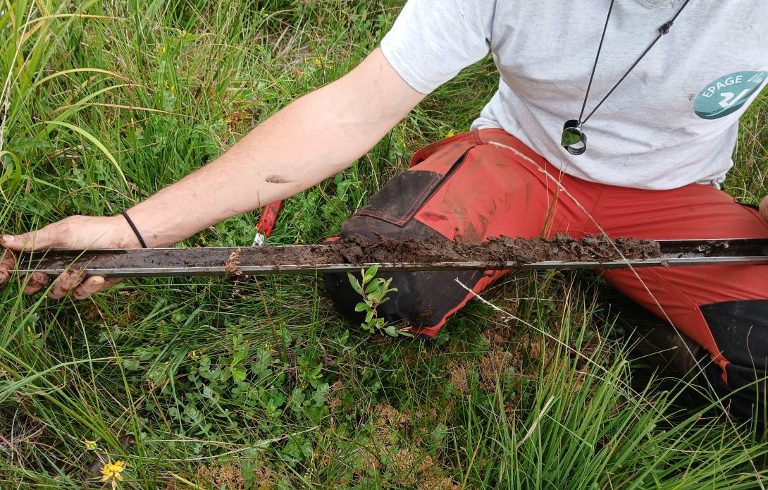 Sondage pédologique en tourbière